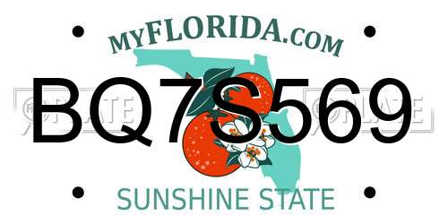 BQ7S569 Florida License Plate