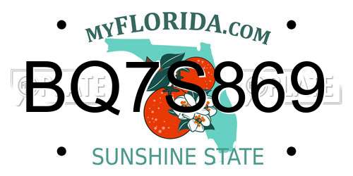 BQ7S869 Florida License Plate