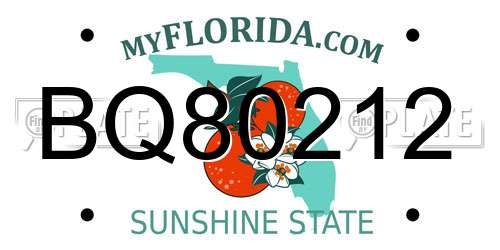 BQ80212 Florida License Plate