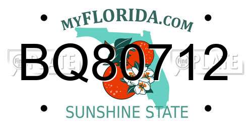 BQ80712 Florida License Plate