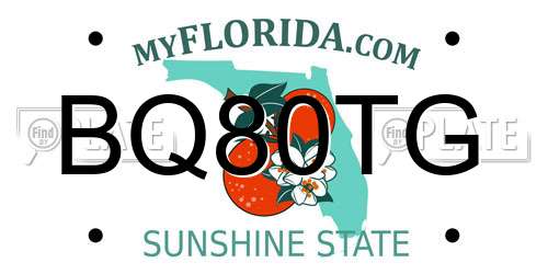 BQ80TG Florida License Plate