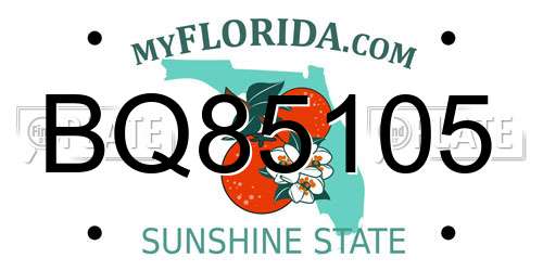 BQ85105 Florida License Plate