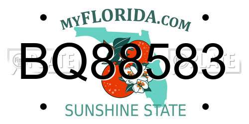 BQ88583 Florida License Plate