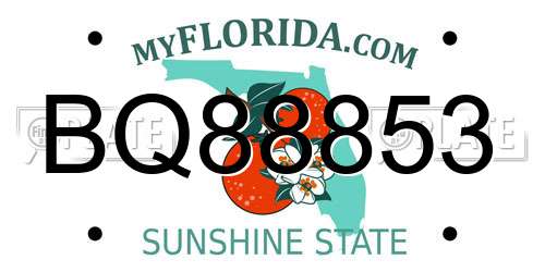 BQ88853 Florida License Plate