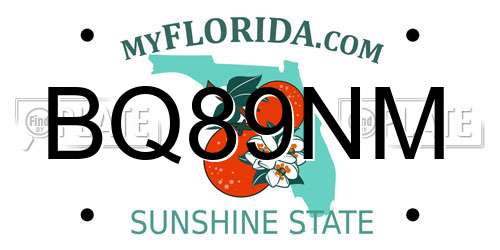 BQ89NM Florida License Plate