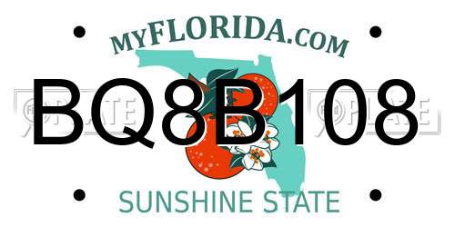 BQ8B108 Florida License Plate
