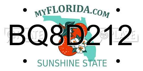 BQ8D212 Florida License Plate