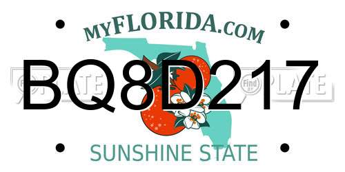 BQ8D217 Florida License Plate