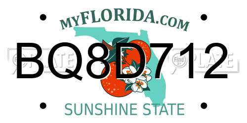 BQ8D712 Florida License Plate