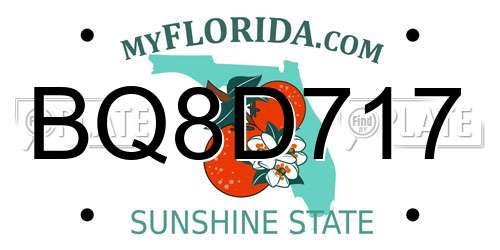 BQ8D717 Florida License Plate