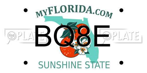 BQ8E Florida License Plate