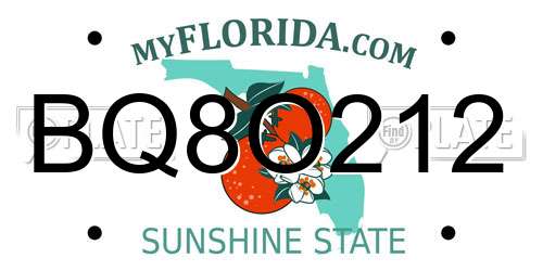 BQ8O212 Florida License Plate