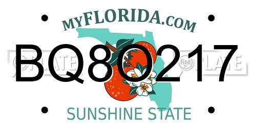 BQ8O217 Florida License Plate