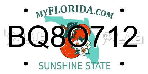BQ8O712 Florida License Plate