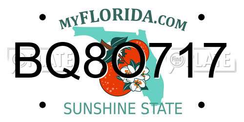 BQ8O717 Florida License Plate