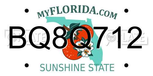BQ8Q712 Florida License Plate
