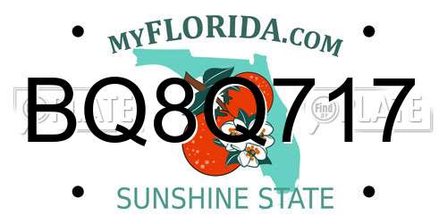 BQ8Q717 Florida License Plate
