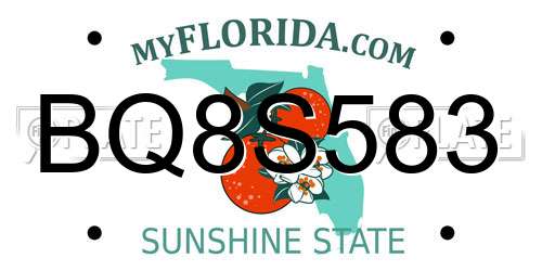 BQ8S583 Florida License Plate
