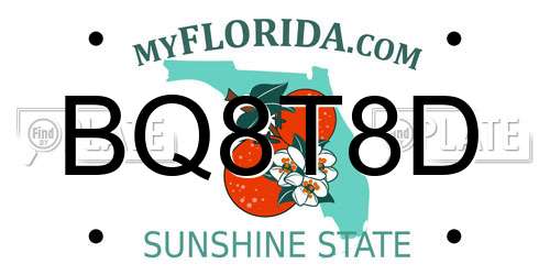 BQ8T8D Florida License Plate