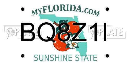 BQ8Z1I Florida License Plate