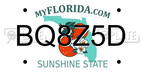 BQ8Z5D Florida License Plate