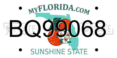 BQ99068 Florida License Plate