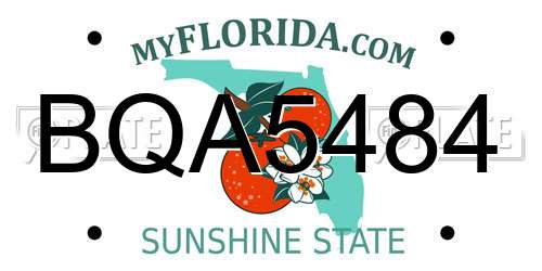 BQA5484 Florida License Plate