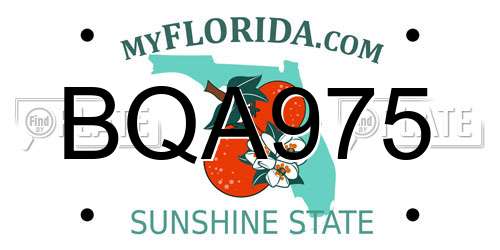 BQA975 Florida License Plate