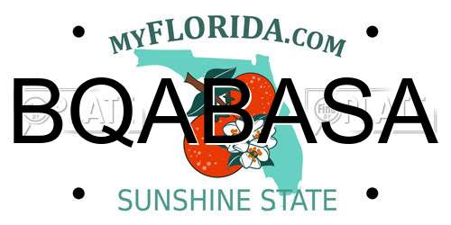 BQABASA Florida License Plate