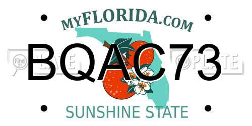 BQAC73 Florida License Plate