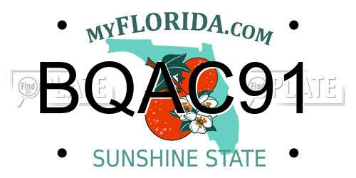 BQAC91 Florida License Plate