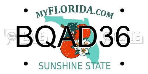 BQAD36 Florida License Plate