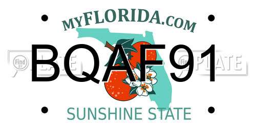 BQAF91 Florida License Plate