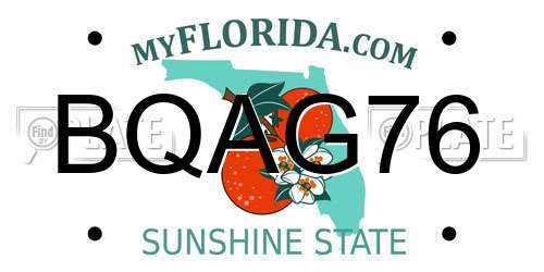 BQAG76 Florida License Plate