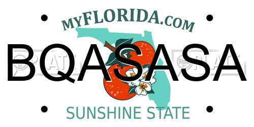 BQASASA Florida License Plate