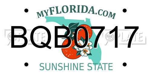 BQB0717 Florida License Plate