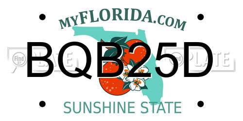 BQB25D Florida License Plate