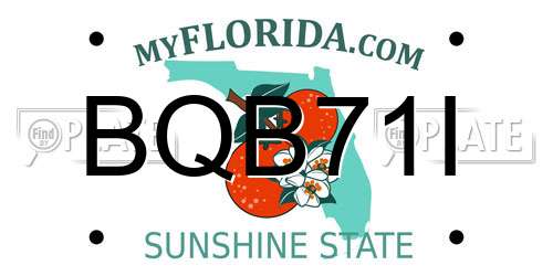 BQB71I Florida License Plate