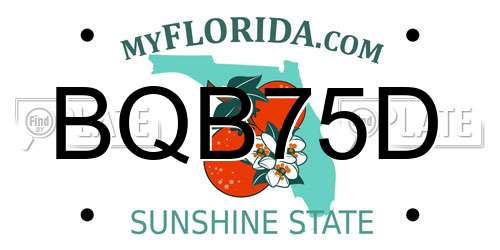 BQB75D Florida License Plate