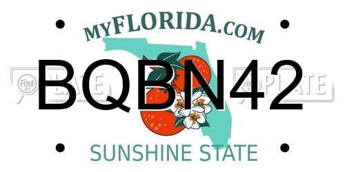 BQBN42 Florida License Plate