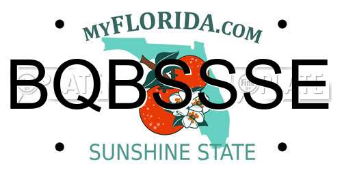 BQBSSSE Florida License Plate