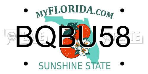 BQBU58 Florida License Plate