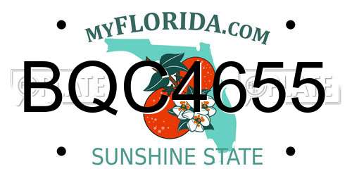 BQC4655 Florida License Plate