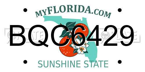 BQC6429 Florida License Plate