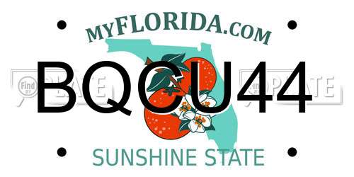 BQCU44 Florida License Plate