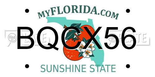 BQCX56 Florida License Plate