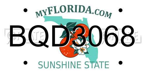 BQD3068 Florida License Plate