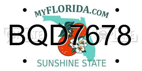 BQD7678 Florida License Plate