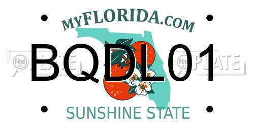 BQDL01 Florida License Plate