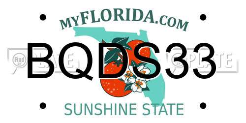BQDS33 Florida License Plate